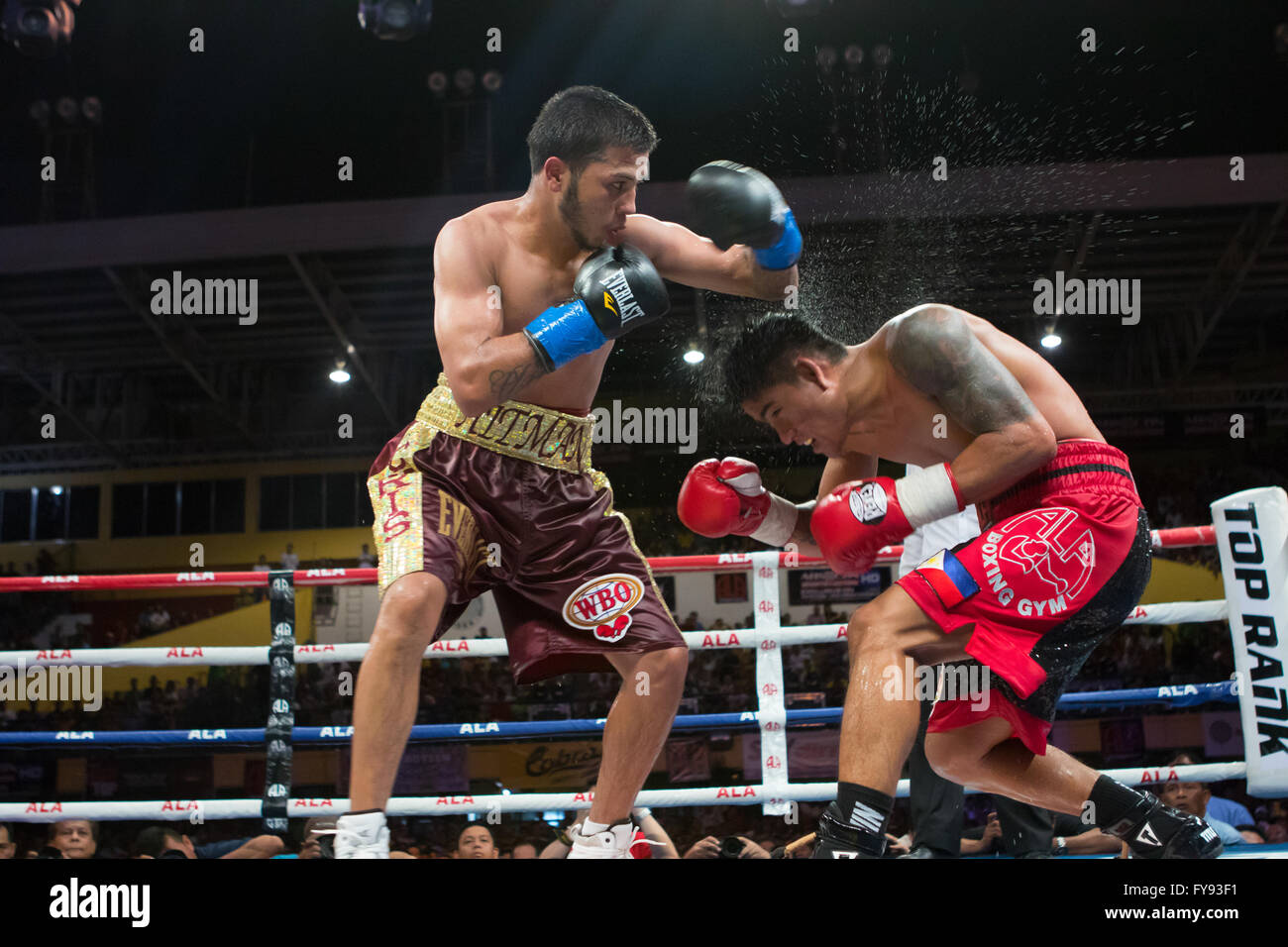 Boxer im action ring boxen -Fotos und -Bildmaterial in hoher Auflösung –  Alamy
