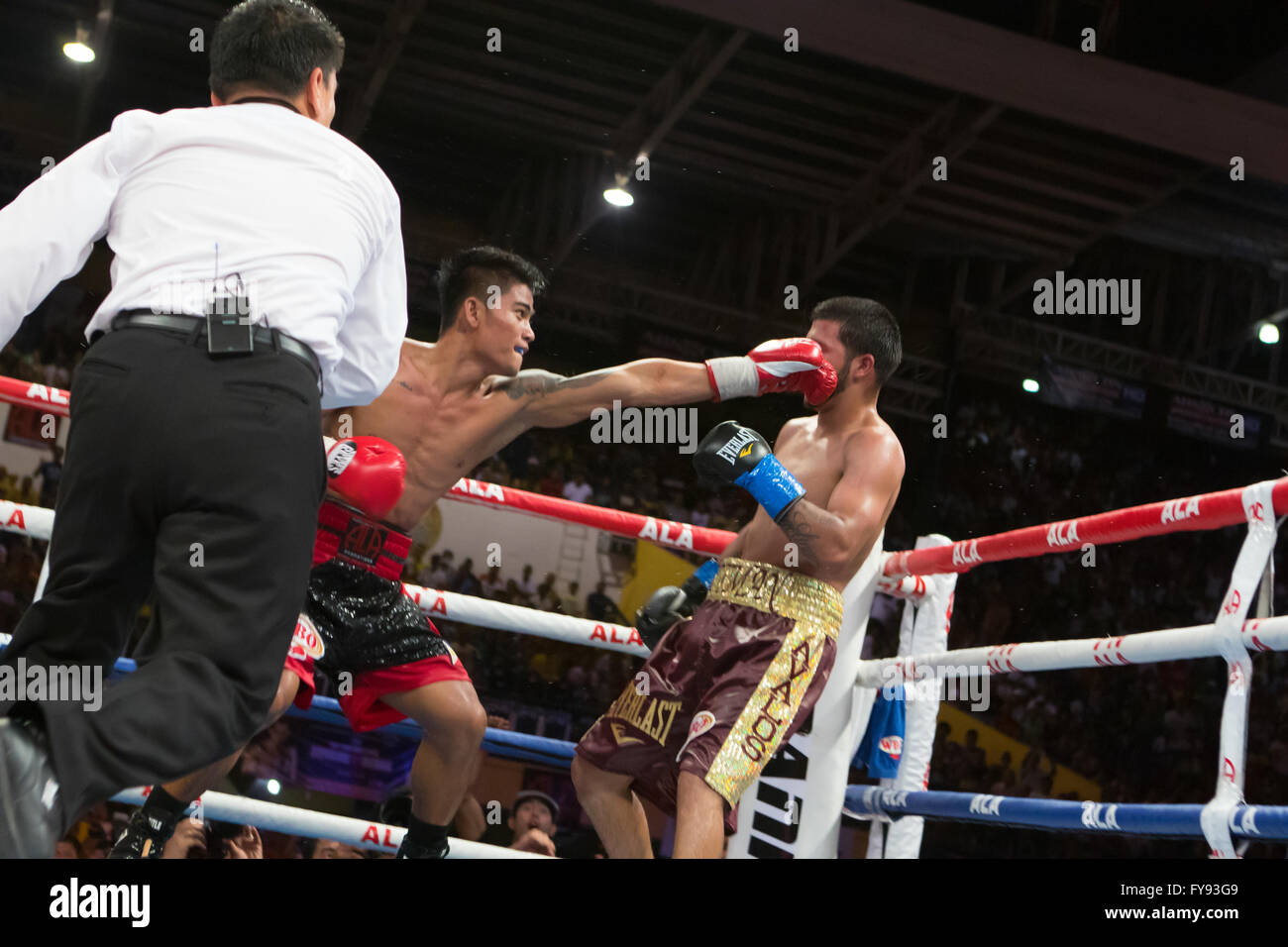 23.04.2016 Cebu City Sports Complex, Cebu City, Philippines.On das gleiche Kampfkarte Donaire vs Bedak, oben und kommenden Filipino Boxing Aussicht Mark "Magnifico" Magsayo (20 Jahre W14 L0 D0) kämpften Chris "The Hitman" Avalos (26 Jahre W26 L5 D0) um den vakanten WBO International Federgewicht Jahr Kampf endet im sechsten Runde nach ein Ansturm von Magsayo zwingt die Ecke der d ' Avalos, das Handtuch werfen gerade in diesem Moment den Schiedsrichter den Kampf gestoppt. Stockfoto