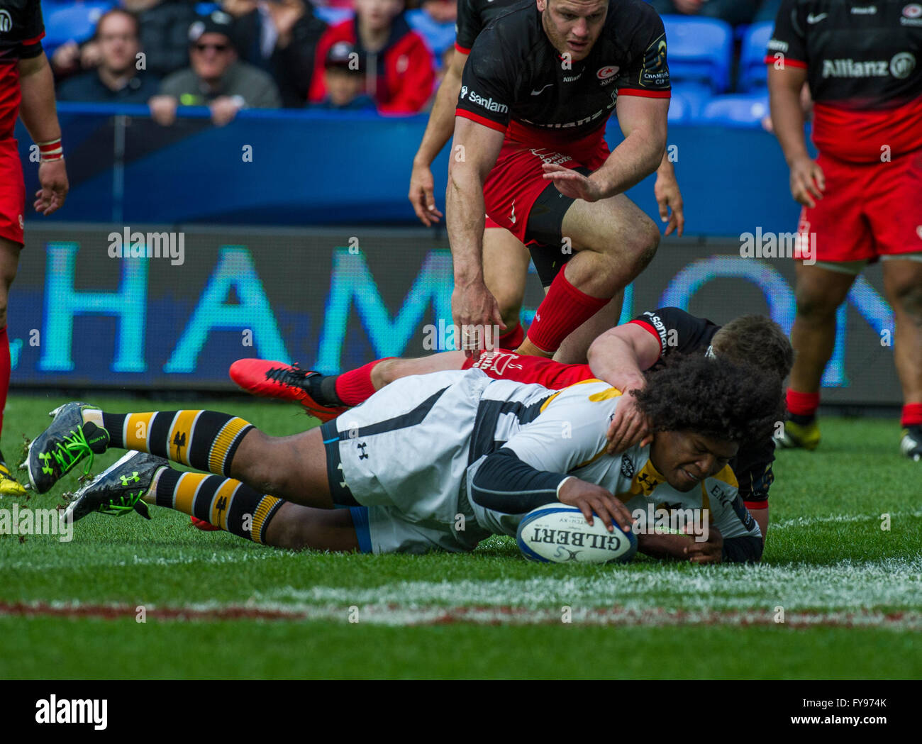 London, UK. 23. April 2016. Ashley Johnson von Wespen erhält einen Versuch, Sarazenen gegen Wespen, European Rugby Champions Cup, Halbfinale Madejski Stadium, 23. April 2016 in Reading, England. Bildnachweis: Gary Mitchell/Alamy Live-Nachrichten Stockfoto