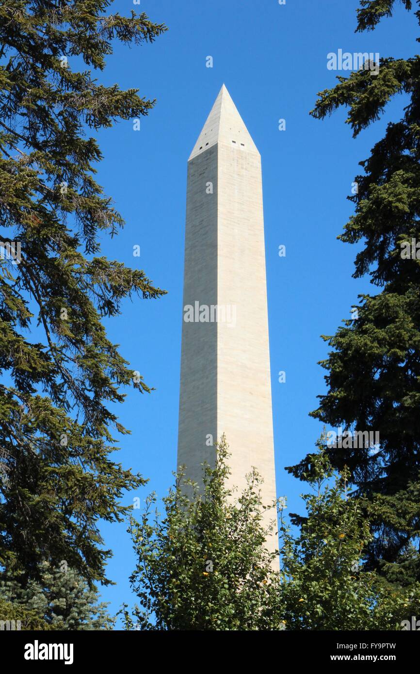 Washington Monument von Bäumen umrahmt. Stockfoto