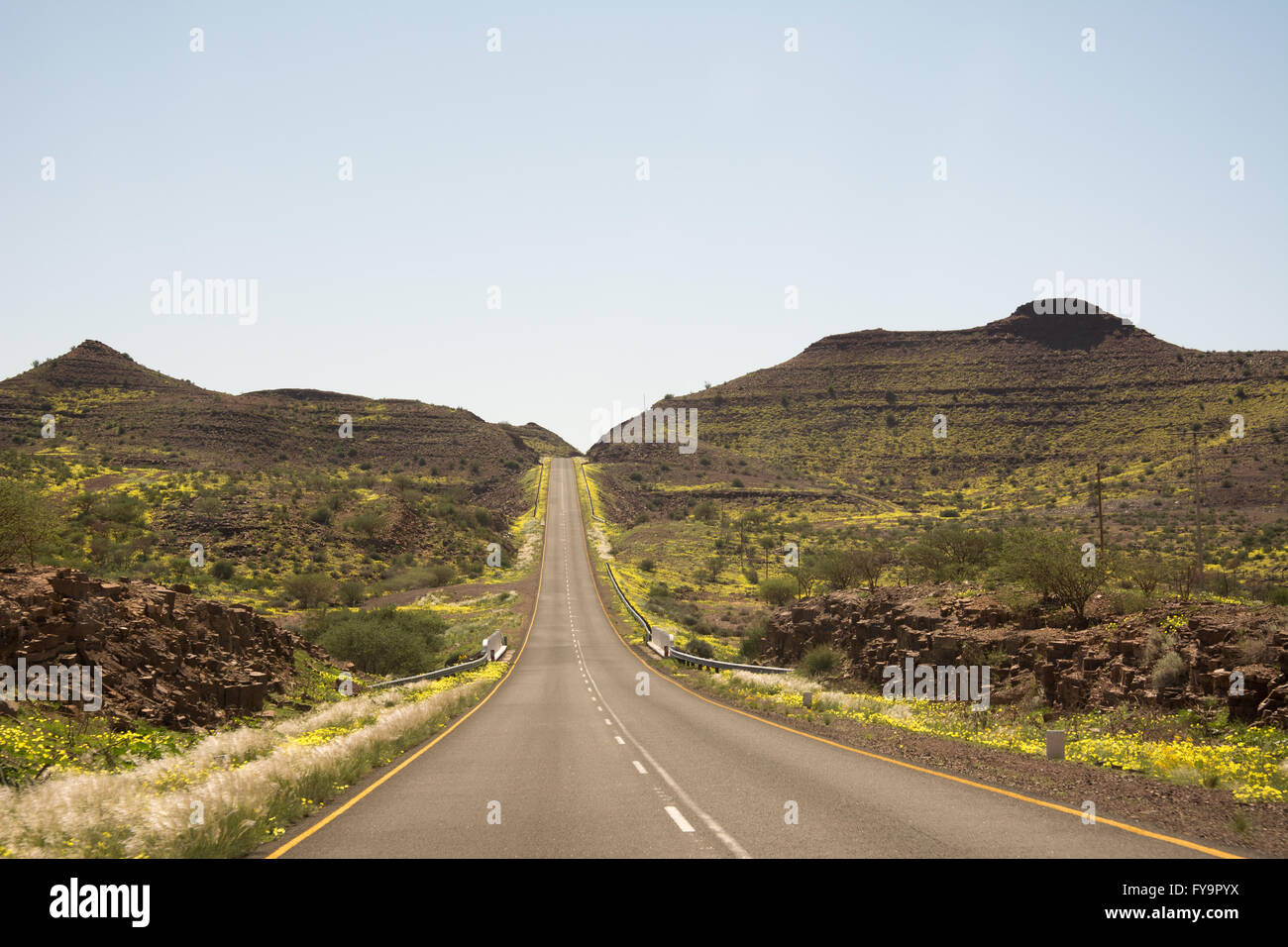 Die B4 National Highway mit leuchtend gelben Blumen zwischen Keetmanshoop und Aus, südlichen Namibia gesäumt. Stockfoto