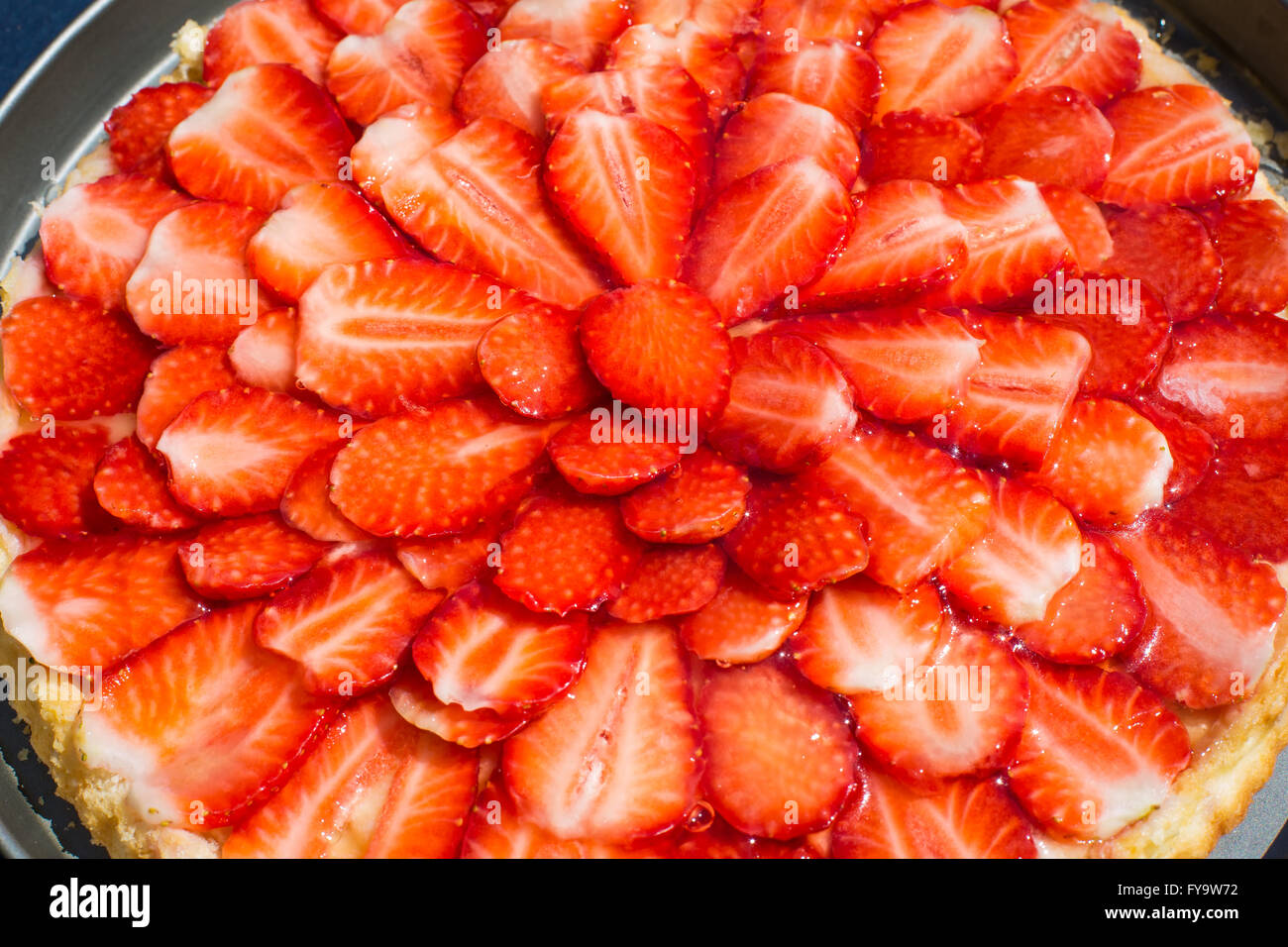 Frisch und duftend Erdbeer Biskuit Kuchen gekrönt mit Gelatine Stockfoto