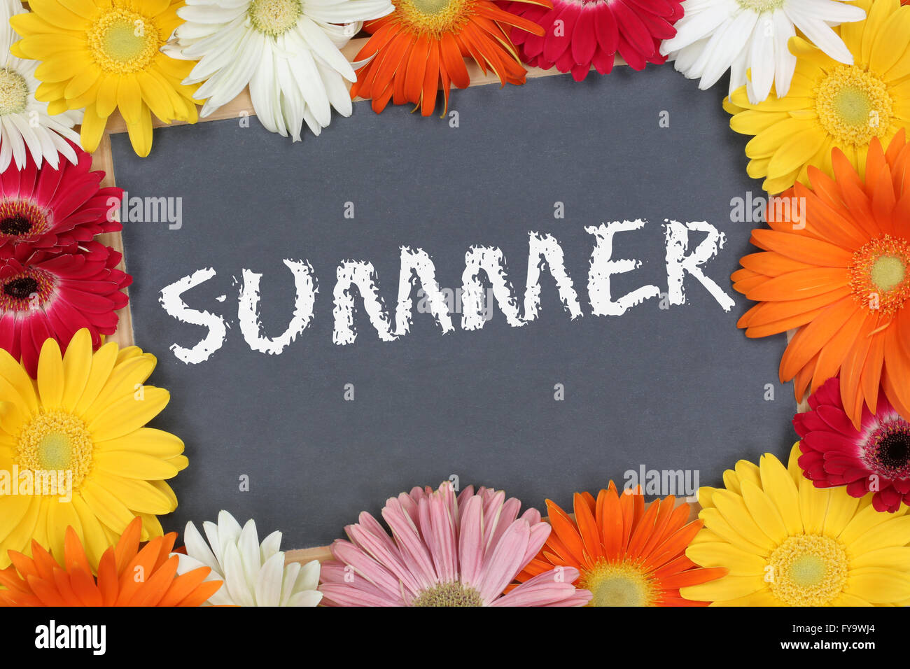 Sommer im Garten mit bunten Blumen Blüte Board Schild Stockfoto