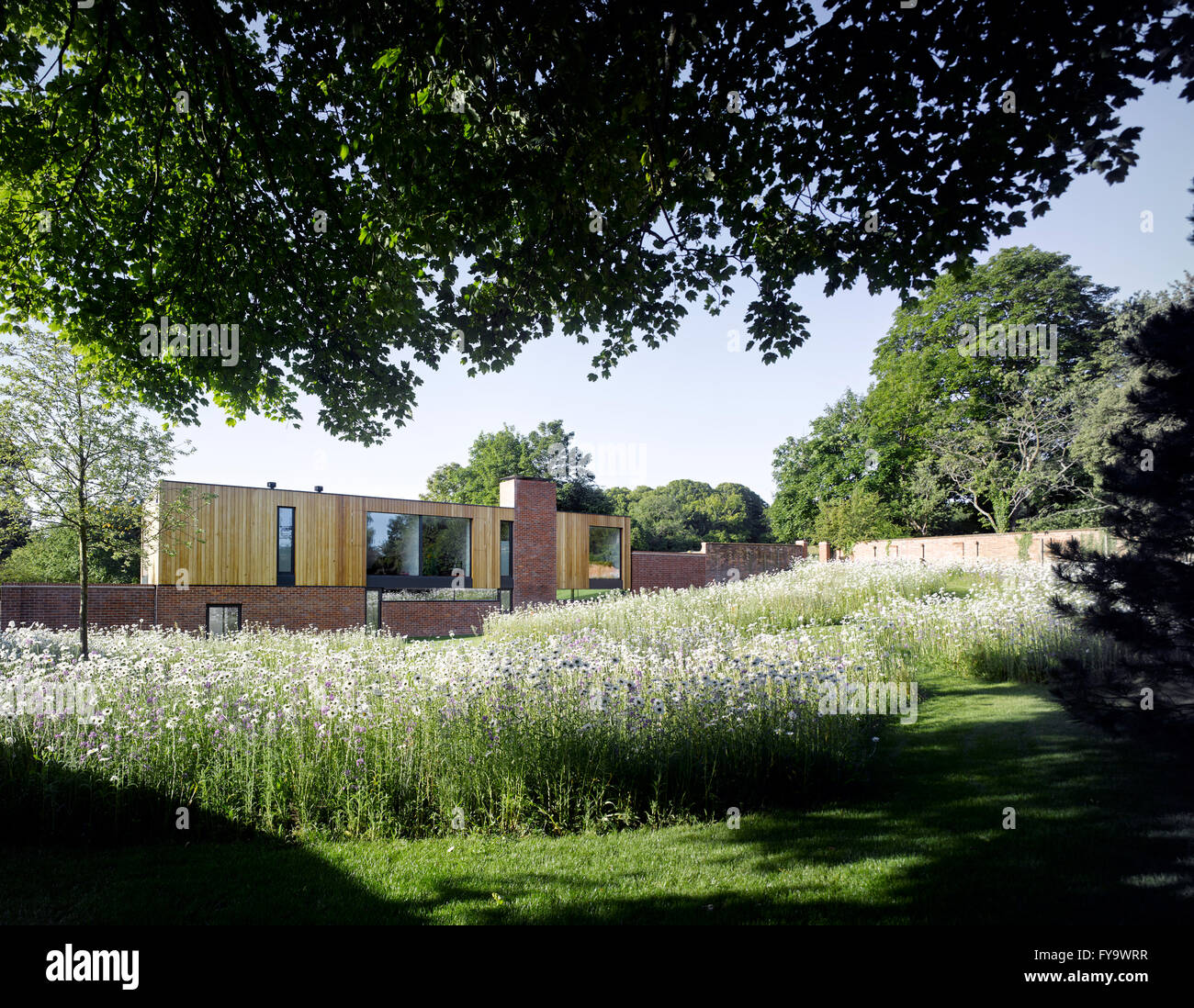 Wildblumenwiese mit Gartenmauer und modernistischen Gebäude. Cheeran Haus, Lower Basildon, Großbritannien. Architekt: John Pardey Architekten, 2015. Stockfoto