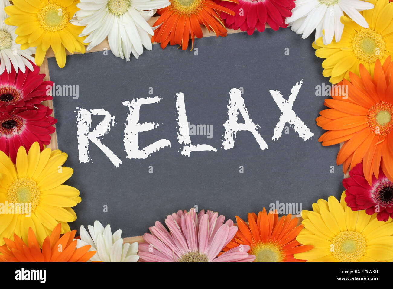 Entspannen Sie sich entspannenden Garten mit bunten Blumen Blüte Board Schild Stockfoto