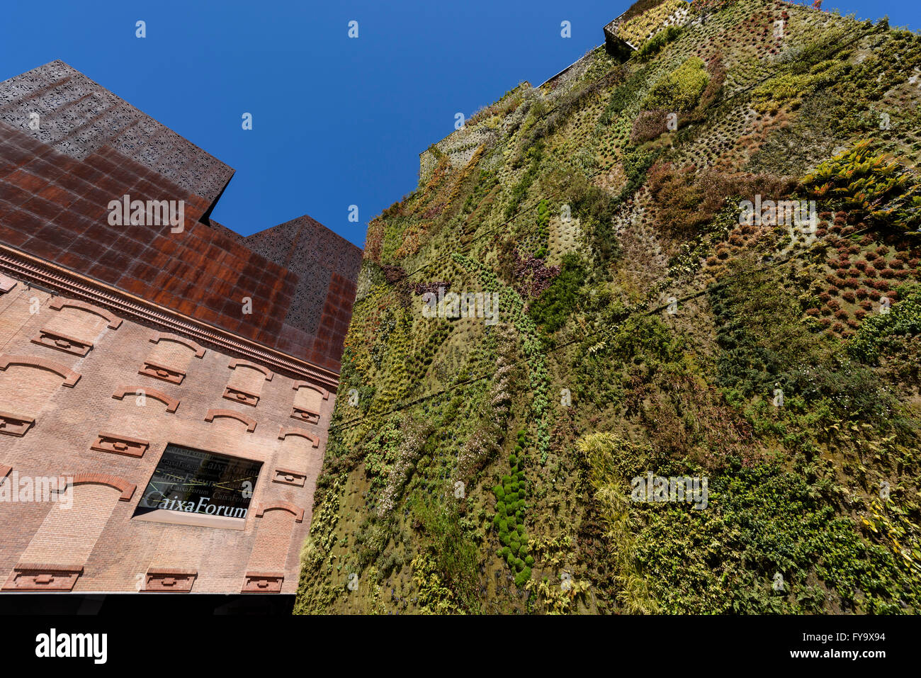 Madrid. Spanien. CaixaForum Madrid, Vertical Garden (2008) vom französischen Botaniker Patrick Blanc, Paseo del Prado. Stockfoto