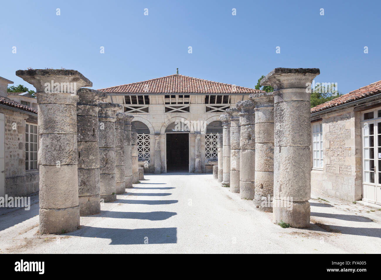 Säulen säumen den Eingang zum archäologischen Museum, Saintes, Poitou-Charentes, Frankreich Stockfoto