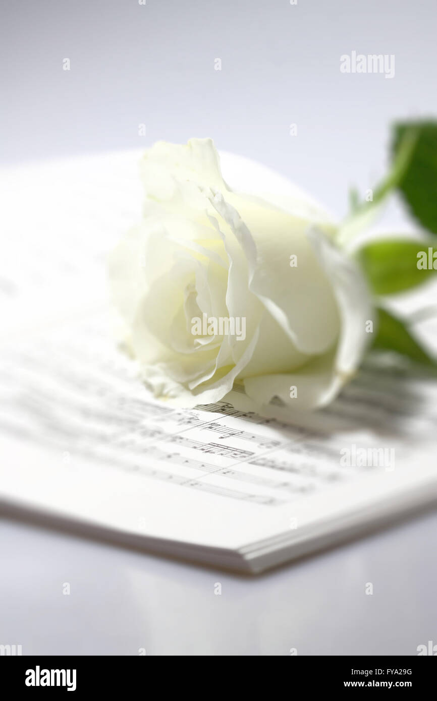 Rose Notenheft Stockfoto