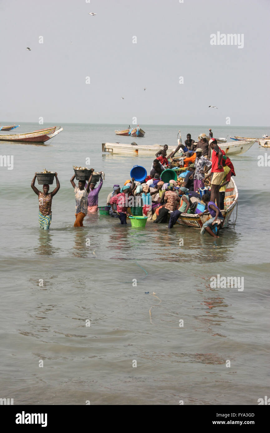 Afrikanische Frauen, die Eimer auf dem Kopf voller Fische von den Fischerbooten im Meer, Gambia, Afrika, Stockfoto