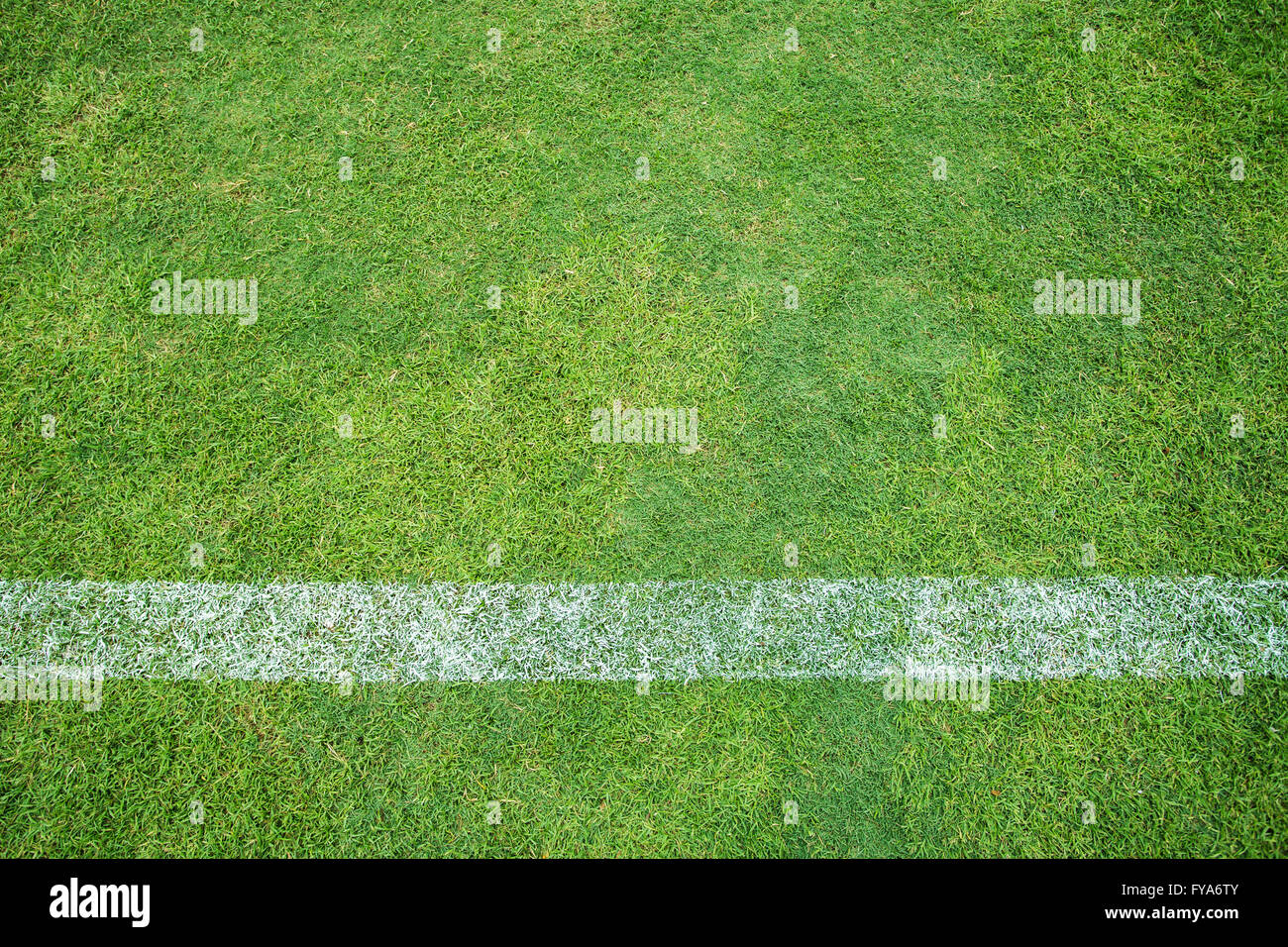 Fußballplatz mit weißen Streifen Stockfoto