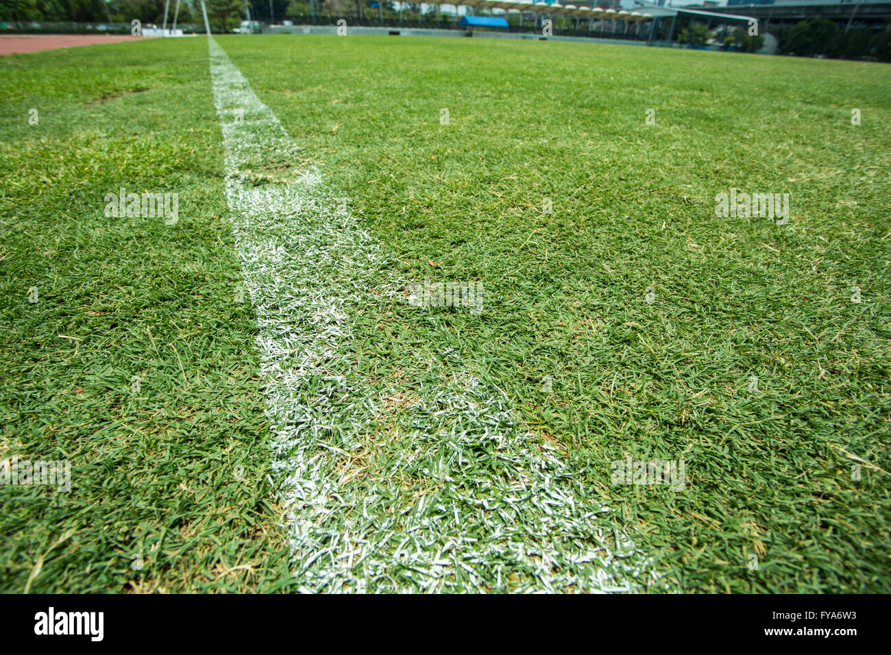 Fußballplatz mit weißen Streifen Stockfoto