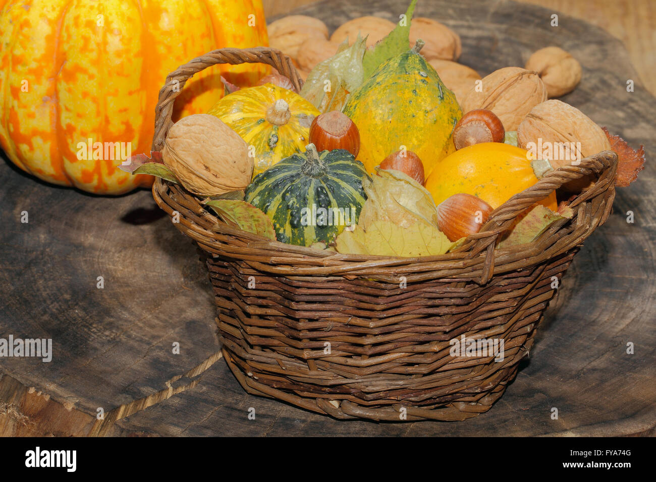 Korb mit ornamentalen Kürbisse, Herbstlaub, verschiedenen Nüssen und Physalis auf einem rustikalen Holzbrett, Thanksgiving Dekoration Stockfoto