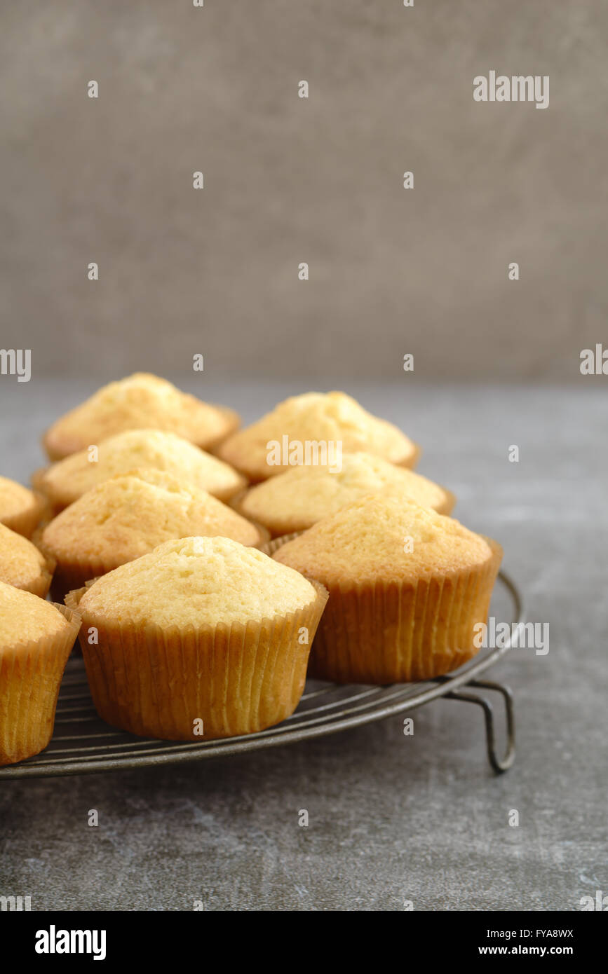 Hausgemachte Vanille Cupcakes Stockfoto