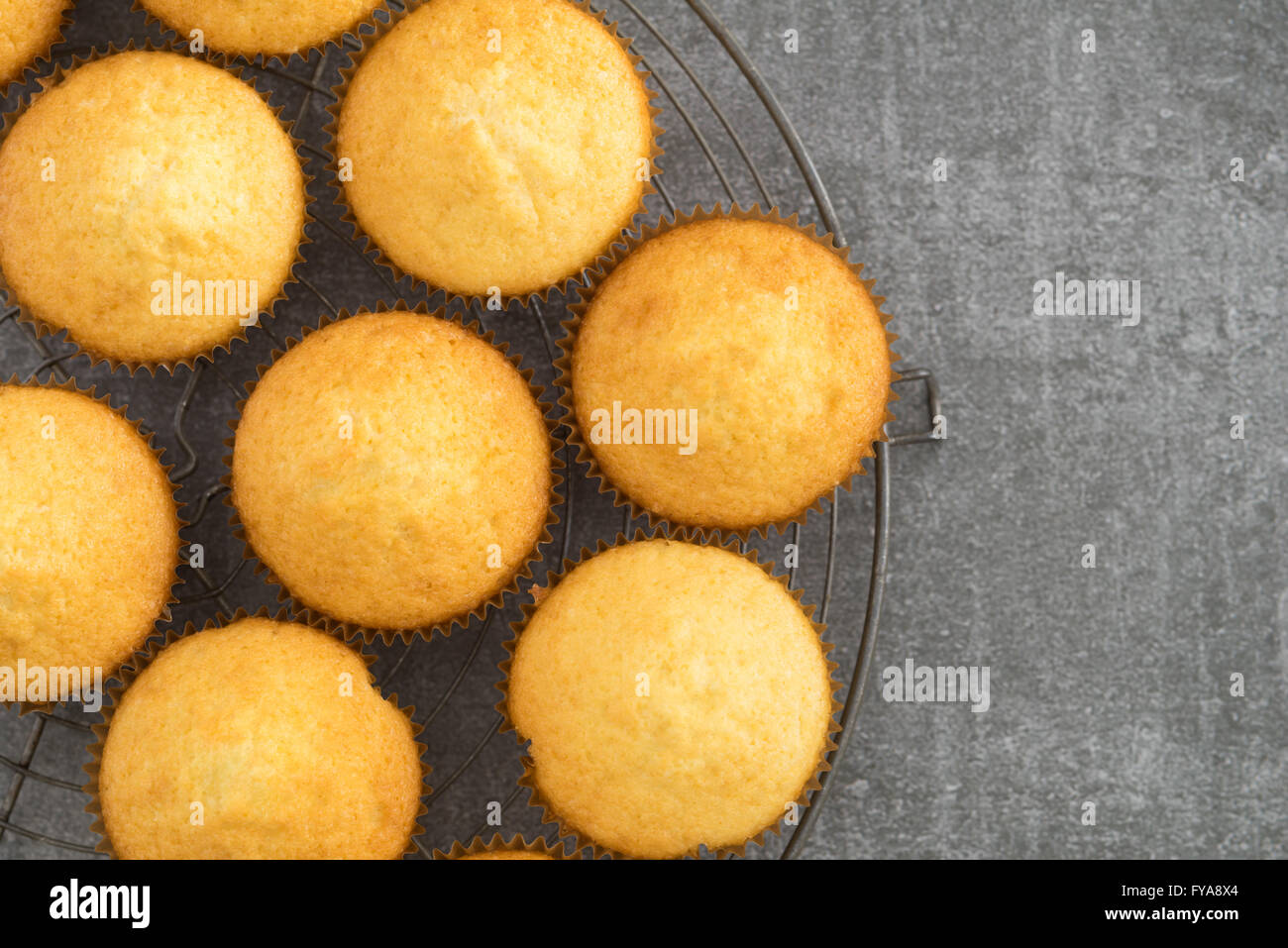 Hausgemachte Vanille Cupcakes Stockfoto