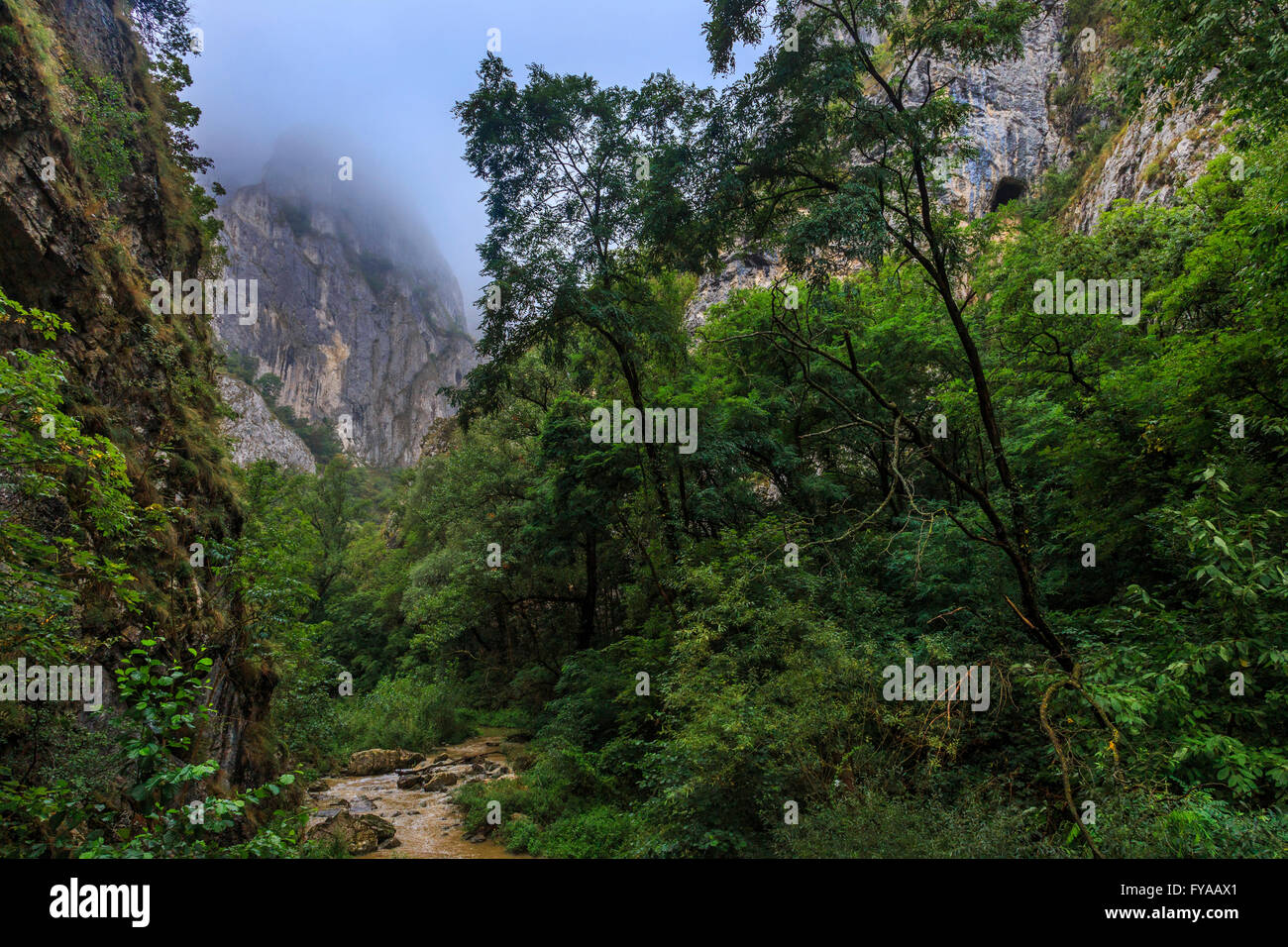 Tropische Bergwelt mit hohen Klippen und Fluss Stockfoto