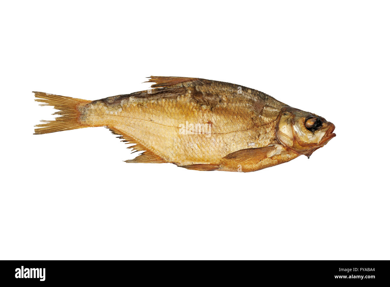 Lebensmittel, Meeresfrüchte, Fische, gesalzen, weiß, Salz, getrocknete, isoliert, traditionell, Gourmet, Essen, trocknen, Eiweiß, salzig, niemand, Tier, fr Stockfoto