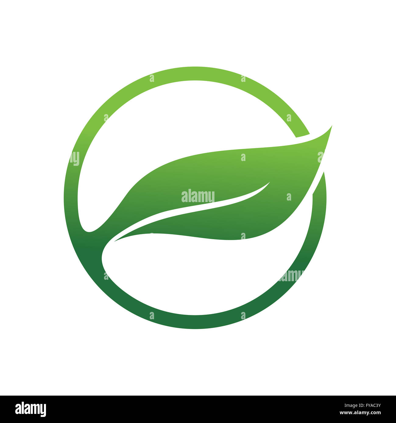 Grüne Öko-Blatt-Kreis Stockfoto