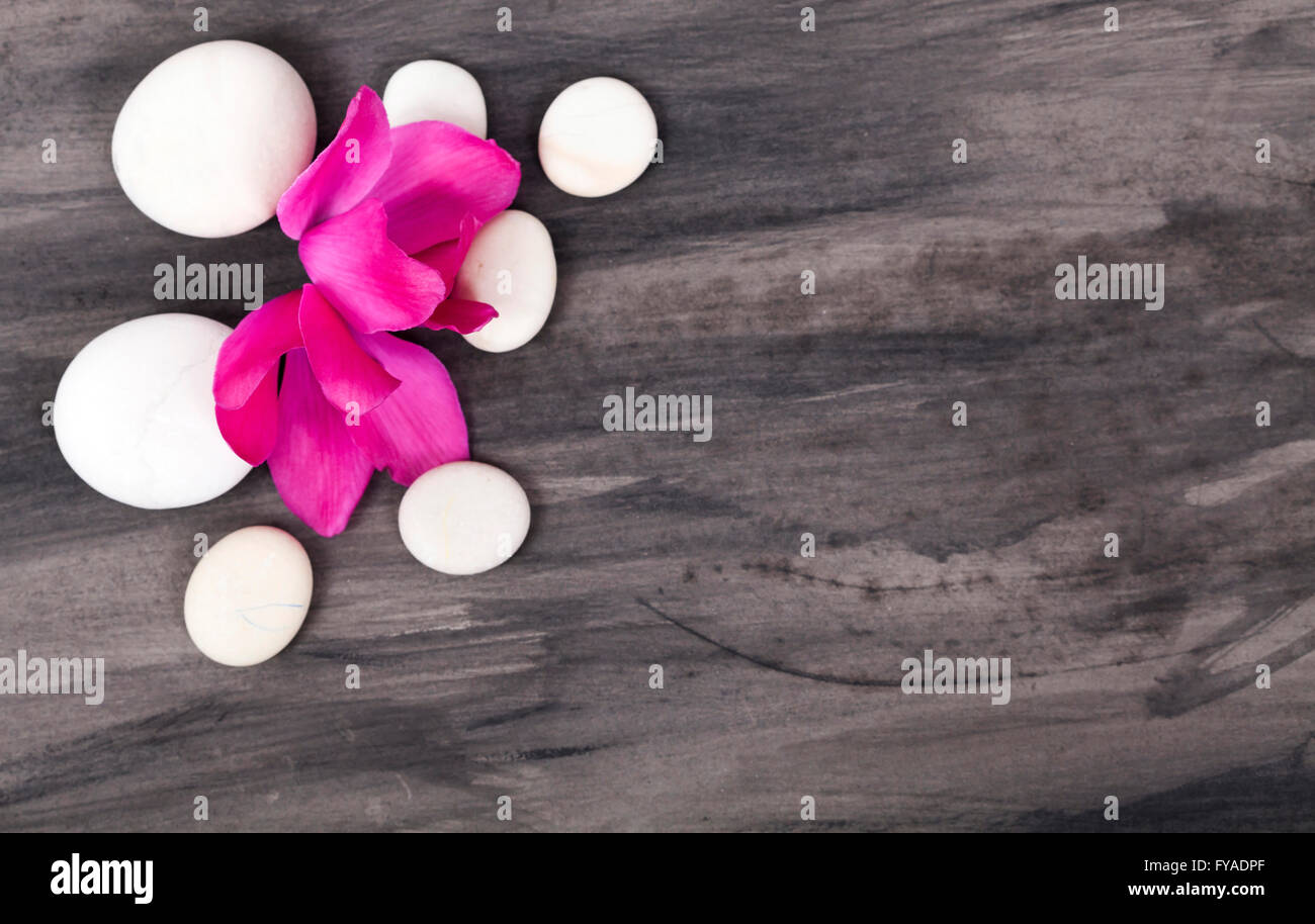 Spa-Stilleben mit rosa Orchidee und weißem Zen Stein auf dunklem Hintergrund Stockfoto