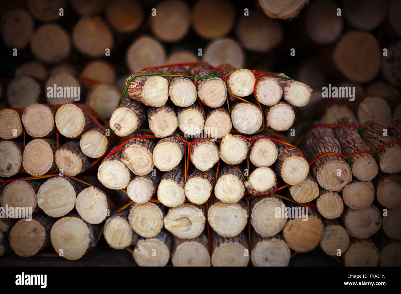 Holzstücke mit Bellen auf dem Markt - es ist Rohstoff für die Herstellung von thanaka Stockfoto