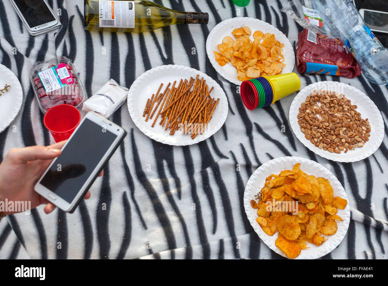 Picknickdecke mit einer Auswahl an zubereiteten Speisen, Handy Stockfoto