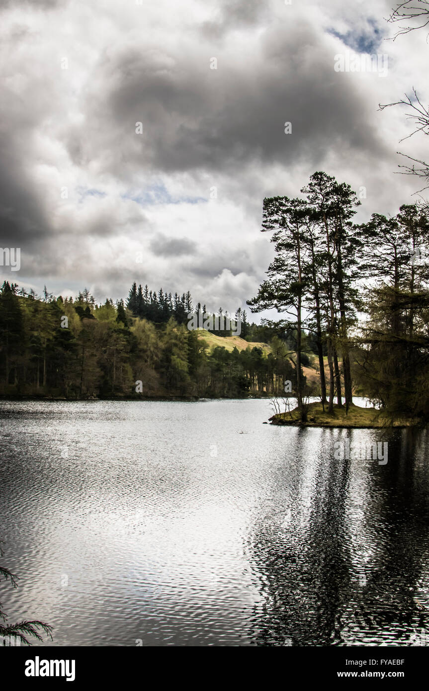 Tarn Hows am Nachmittag, in der Nähe von Conistan. Stockfoto