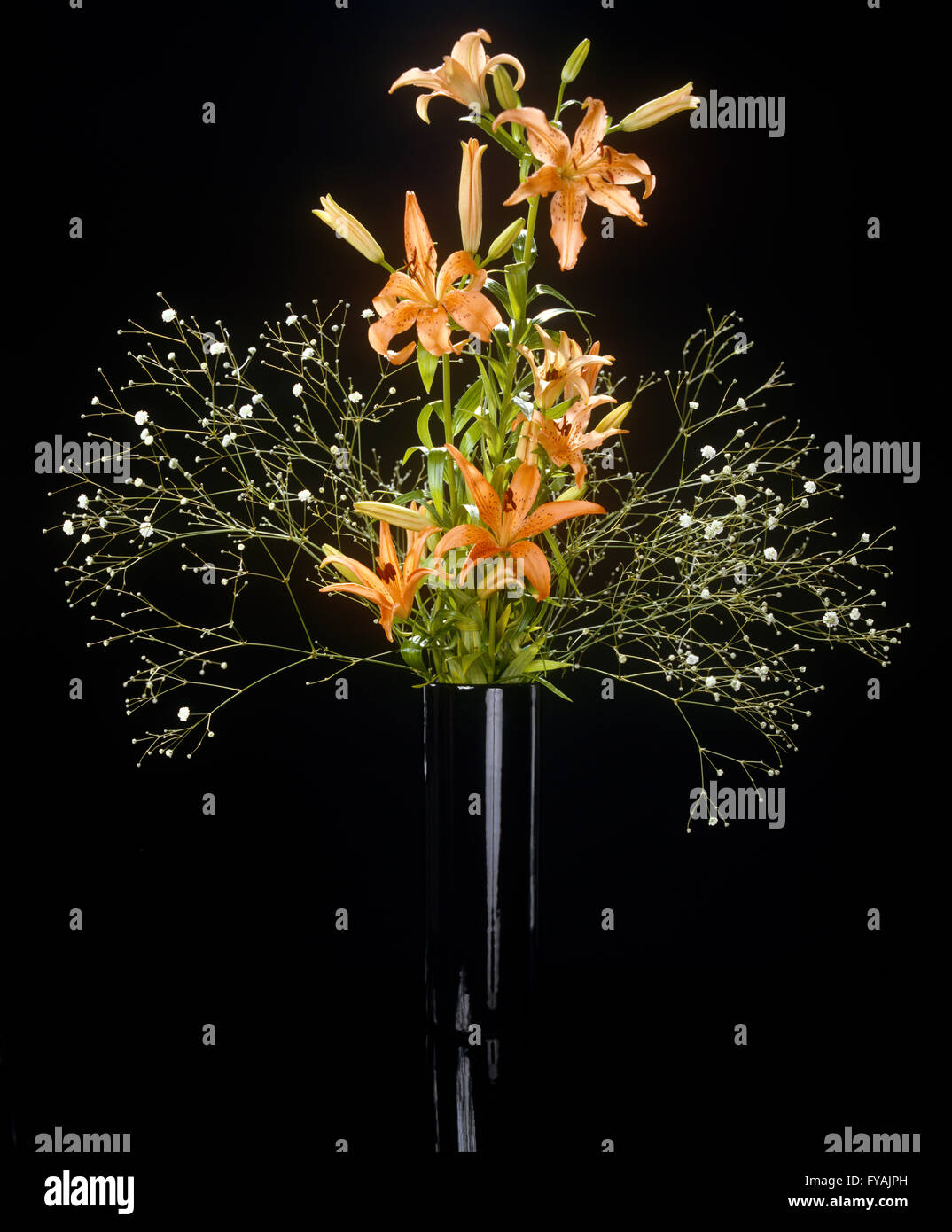 Arty Schuss von Blumen in einer Vase im Inneren. Stockfoto