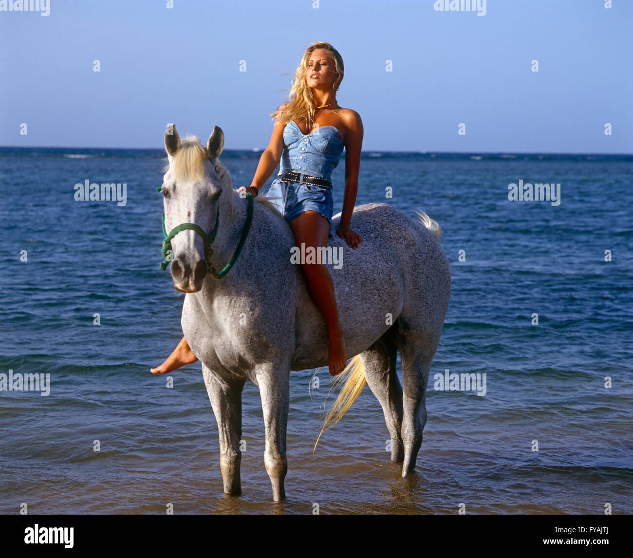 Eine Dame auf einem weißen Pferd im Wasser, draußen zu sitzen. Stockfoto