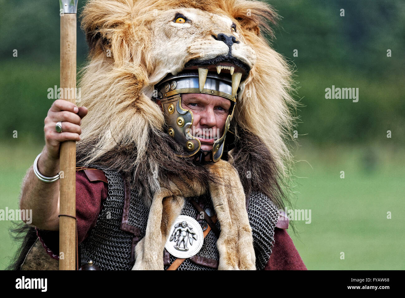 Roman Legionary Standard Bearer - Aqualifer, erste Legion Löwe Fell tragen Stockfoto