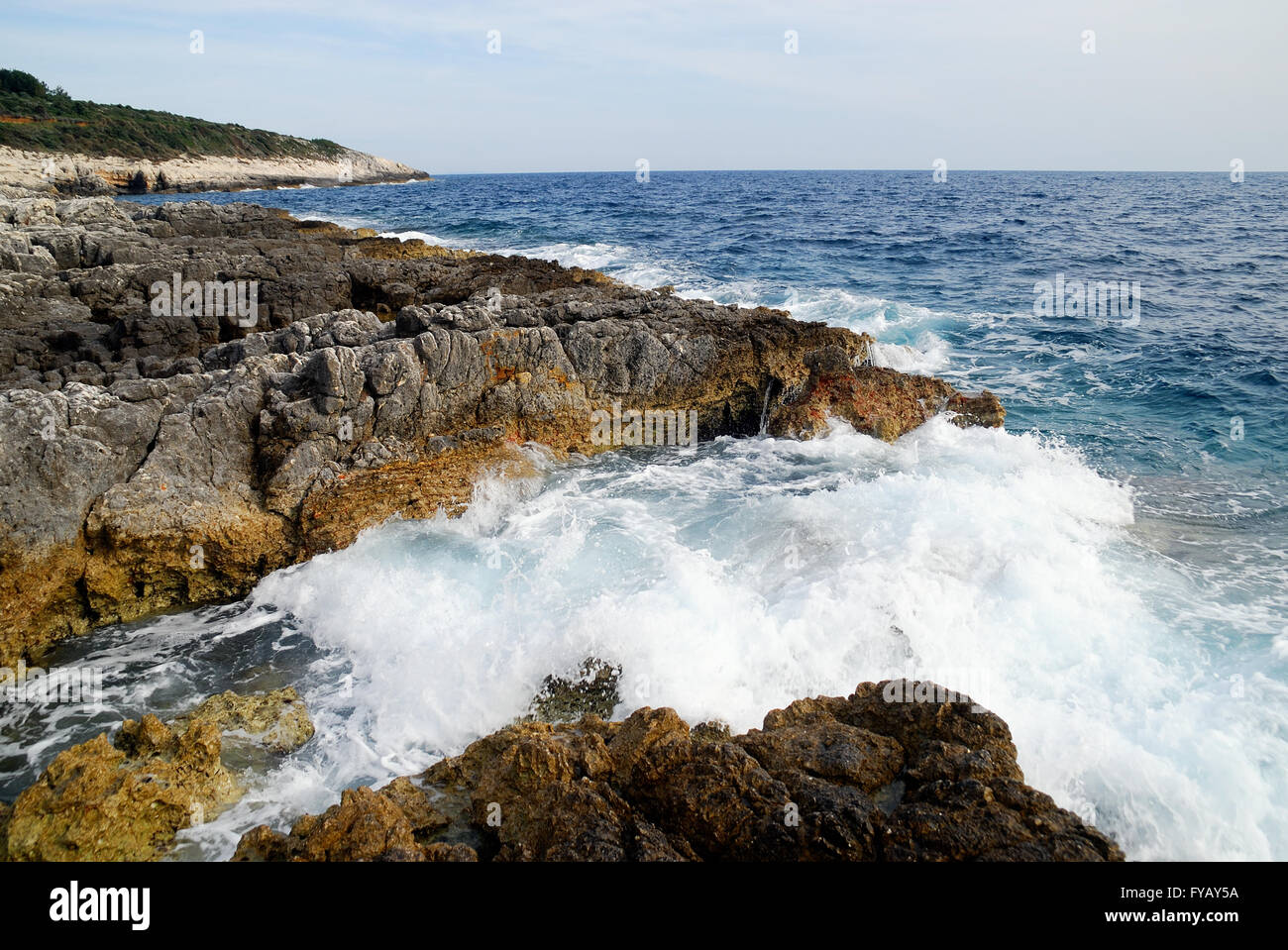Naturpark Kamenjak, Premantura, Istrien, Kroatien. Kap Kamenjak. Der Park ist etwa zehn Kilometer von Pula entfernt, es ist der Lebensraum der Mittelmeer-Mönchsrobbe. Stockfoto