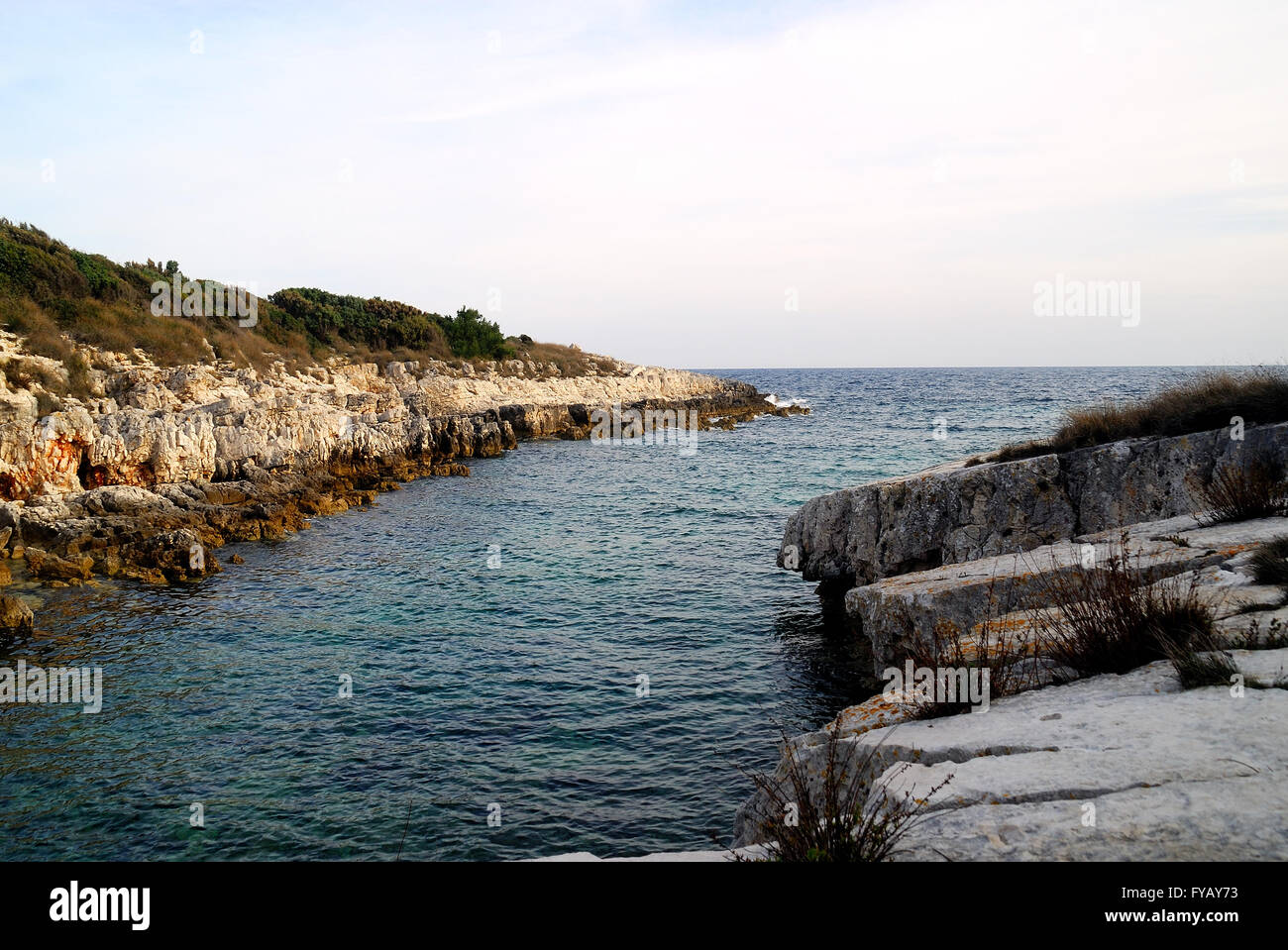 Naturpark Kamenjak, Premantura, Istrien, Kroatien. Kap Kamenjak. Der Park ist etwa zehn Kilometer von Pula entfernt, es ist der Lebensraum der Mittelmeer-Mönchsrobbe. Stockfoto
