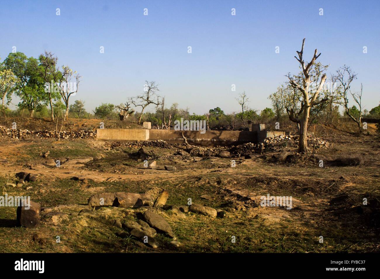 Gräser und einige Bäume. Achtzig Prozent der Bundelkhand