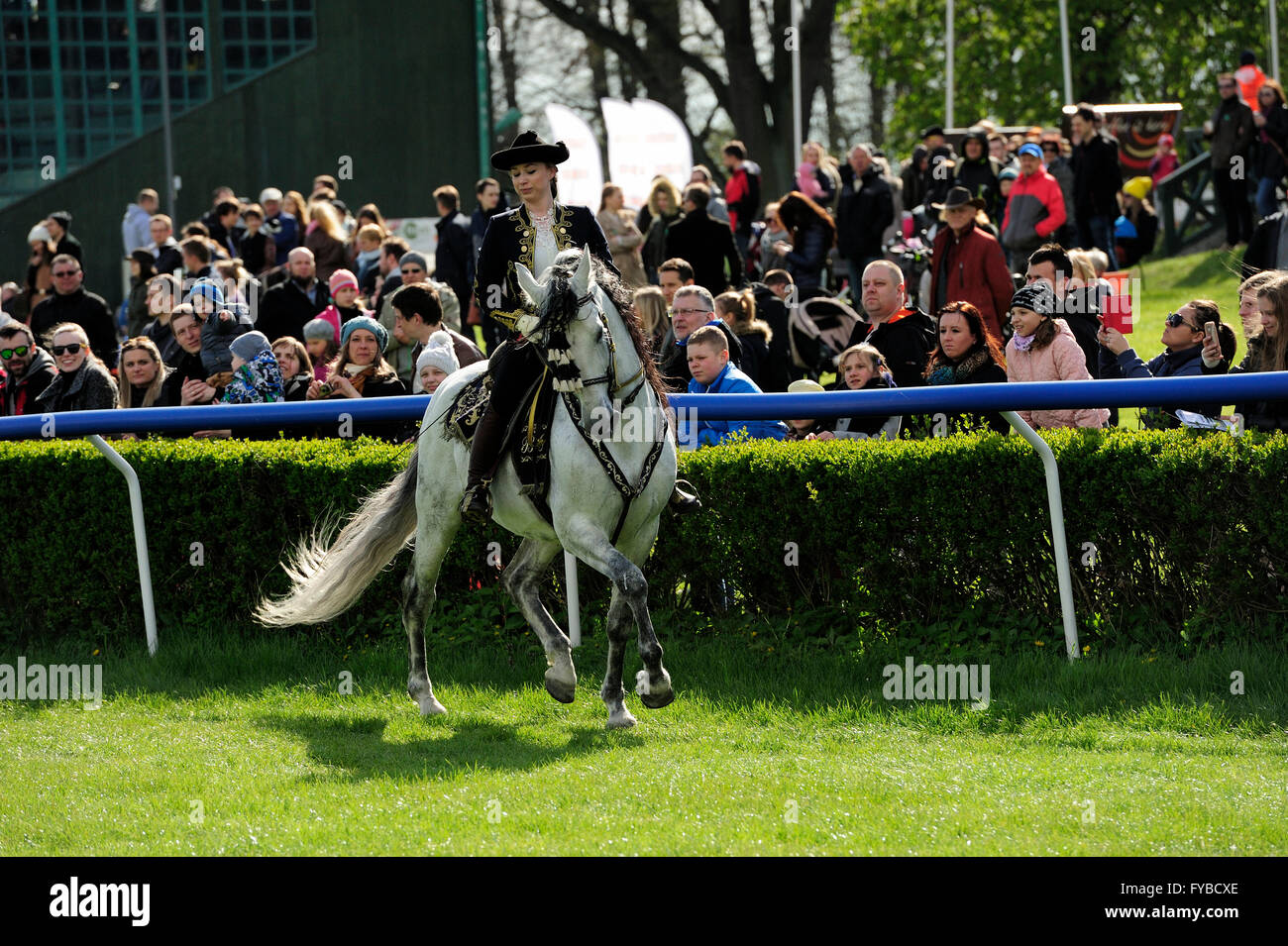 Rennen, Pferd, Partynice Wroclaw/Breslau, Polen, Open Season 2016, Wroclaw, 24. April 2016, Dolnoslaskie, Partynice, Polen, Europa, Polen. 24. April 2016. Rennen, Pferd, Partynice Wroclaw/Breslau, Polen, Open Season 2016, Wroclaw, Dolnoslaskie, Partynice, Polen, Europa, 24. April 2016, © Kazimierz Jurewicz/Alamy Live News Stockfoto
