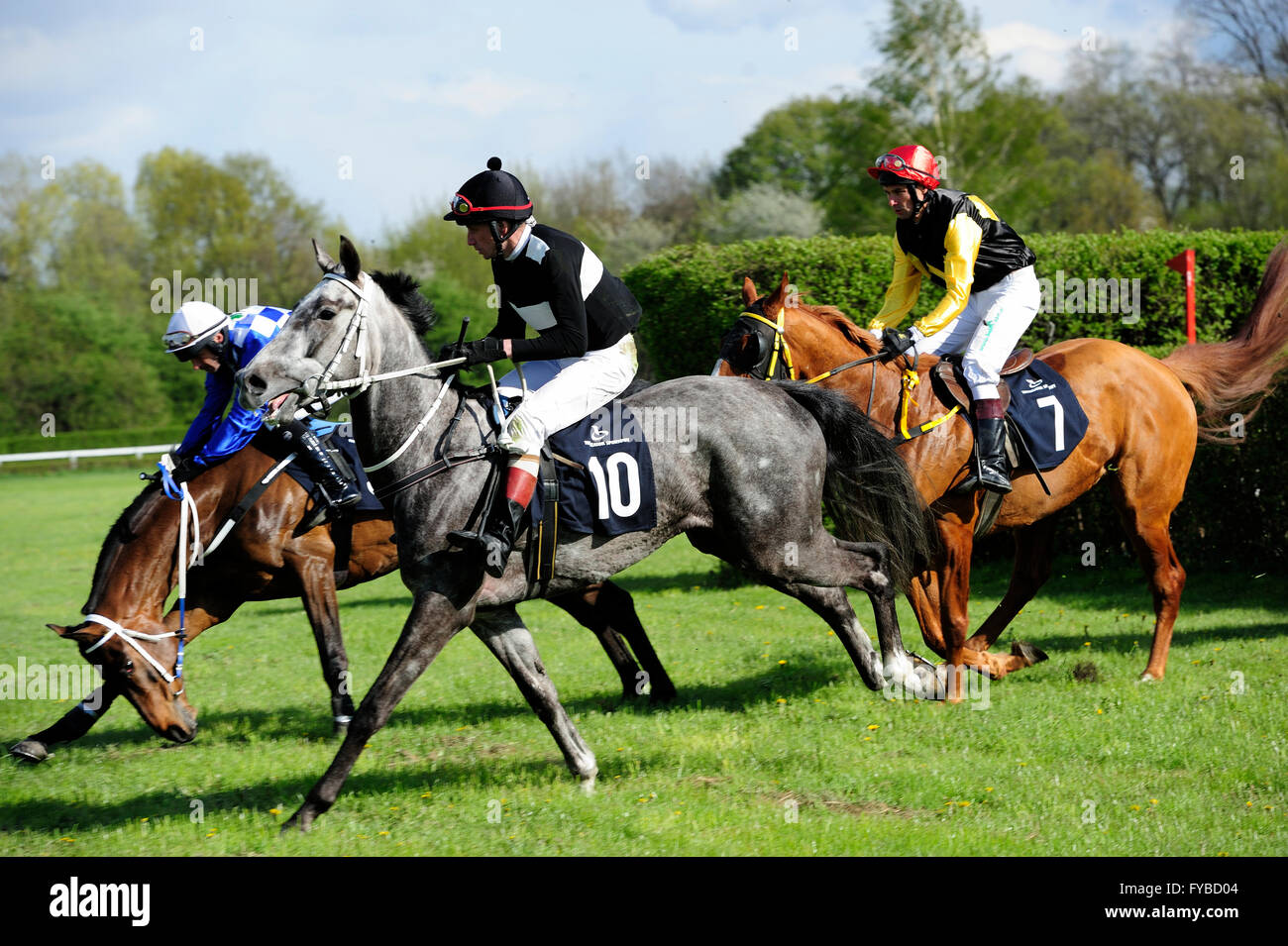 Rennen, Pferd, Partynice Wroclaw/Breslau, Polen, Open Season 2016, Wroclaw, 24. April 2016, Dolnoslaskie, Partynice, Polen, Europa, Stockfoto