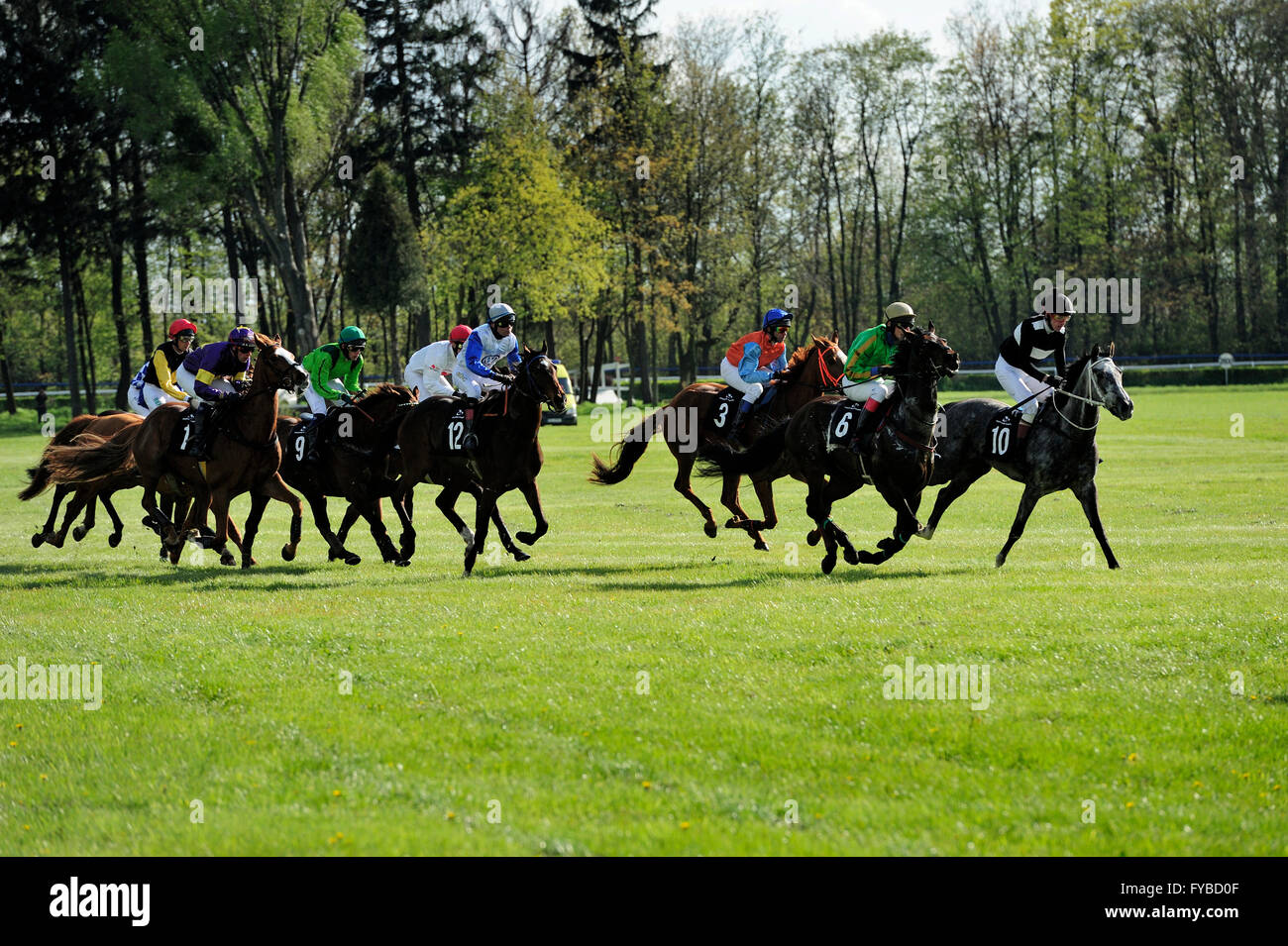 Rennen, Pferd, Partynice Wroclaw/Breslau, Polen, Open Season 2016, Wroclaw, 24. April 2016, Dolnoslaskie, Partynice, Polen, Europa, Polen. 24. April 2016. Rennen, Pferd, Partynice Wroclaw/Breslau, Polen, Open Season 2016, Wroclaw, Dolnoslaskie, Partynice, Polen, Europa, 24. April 2016, © Kazimierz Jurewicz/Alamy Live News Stockfoto