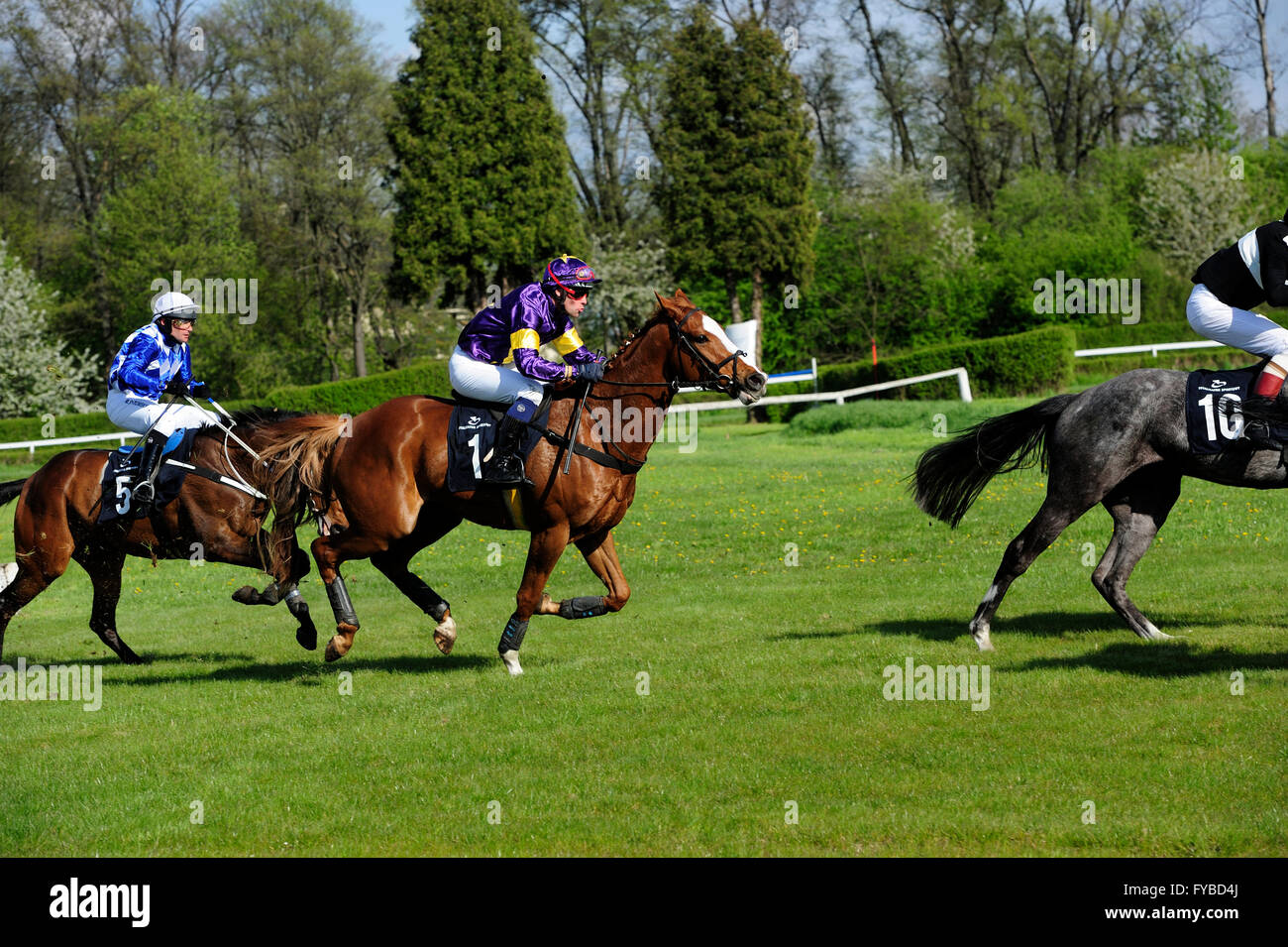 Rennen, Pferd, Partynice Wroclaw, Polen, Open Season 2016, 24. April 2016, Wroclaw, Dolnoslaskie, Partynice, Polen, Europa, Polen. 24. April 2016. Rennen, Pferd, Partynice Wroclaw/Breslau, Polen, Open Season 2016, Wroclaw, Dolnoslaskie, Partynice, Polen, Europa, 24. April 2016, © Kazimierz Jurewicz/Alamy Live News Stockfoto