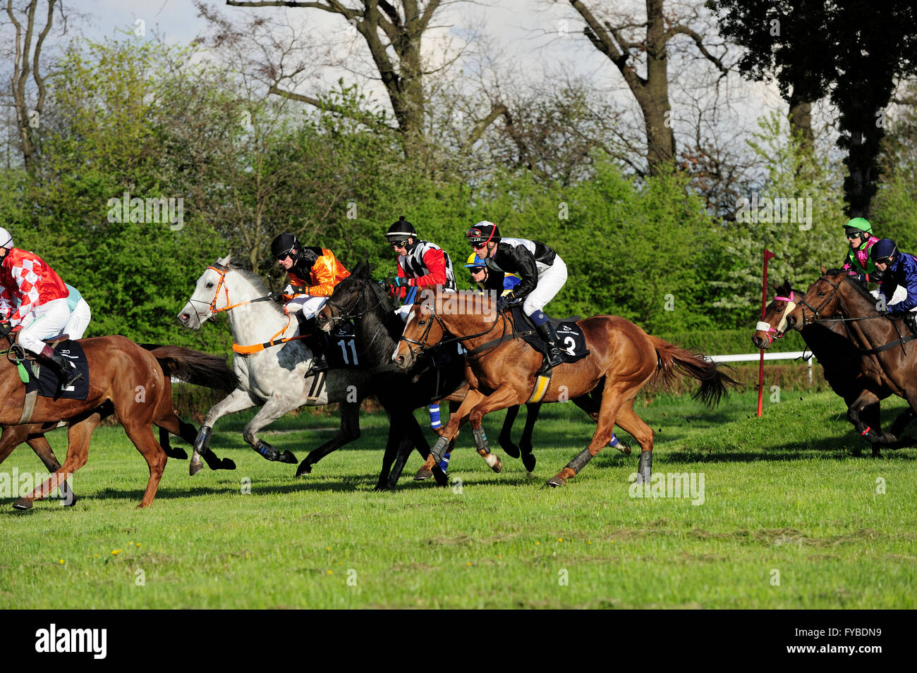 Polen. 24. April 2016. Rennen, Pferd, Partynice Wroclaw/Breslau, Polen, Open Season 2016, Wroclaw, Dolnoslaskie, Partynice, Polen, Europa, 24. April 2016, © Kazimierz Jurewicz/Alamy Live News Stockfoto