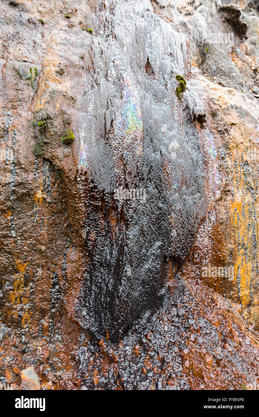 Crude Öl sickert aus einer Felswand in einem alten Steinbruch in Provinz Napo, Ecuador. Stockfoto