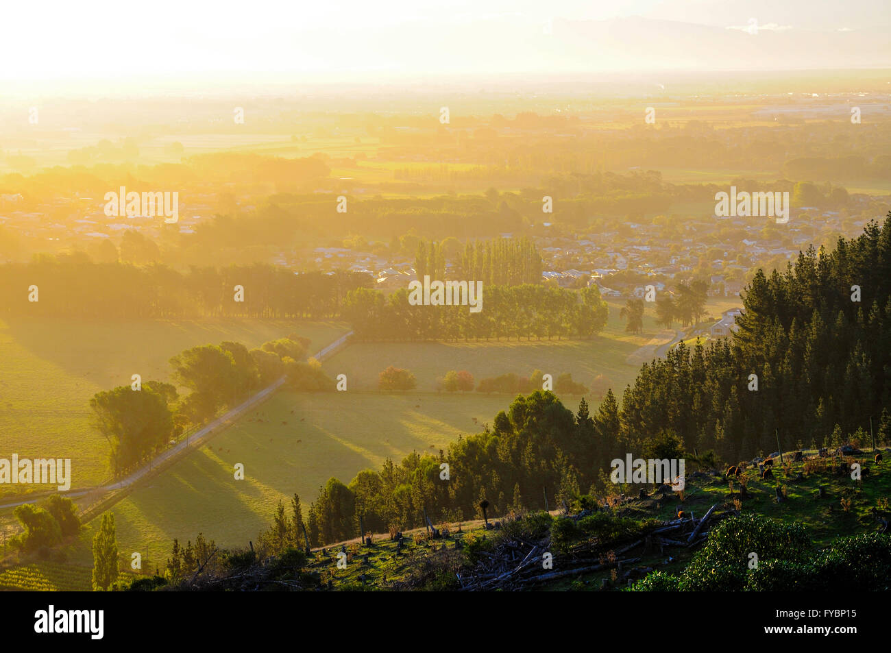 Canterbury Plains bei Sonnenuntergang aus Kaschmir Hills, Christchurch, Region Canterbury, Südinsel, Neuseeland Stockfoto