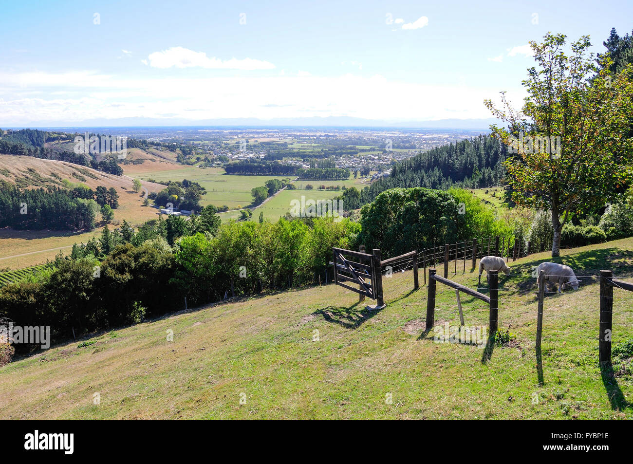 Canterbury Plains aus Kaschmir Hills, Christchurch, Region Canterbury, Südinsel, Neuseeland Stockfoto