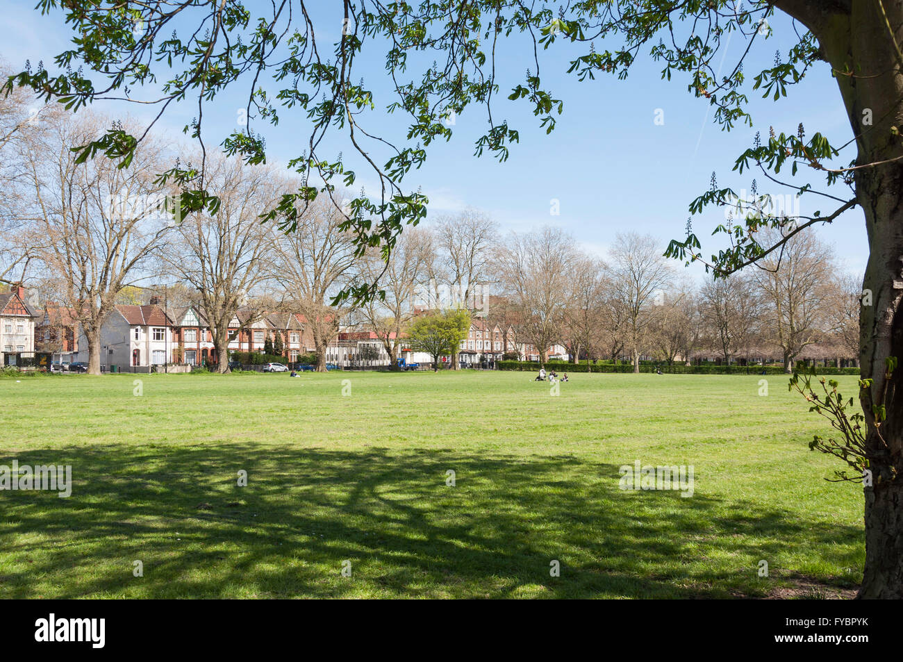 Holz grün gemeinsam, Bahnhofstraße, Wood Green, London Borough of Haringey, Greater London, England, United Kingdom Stockfoto