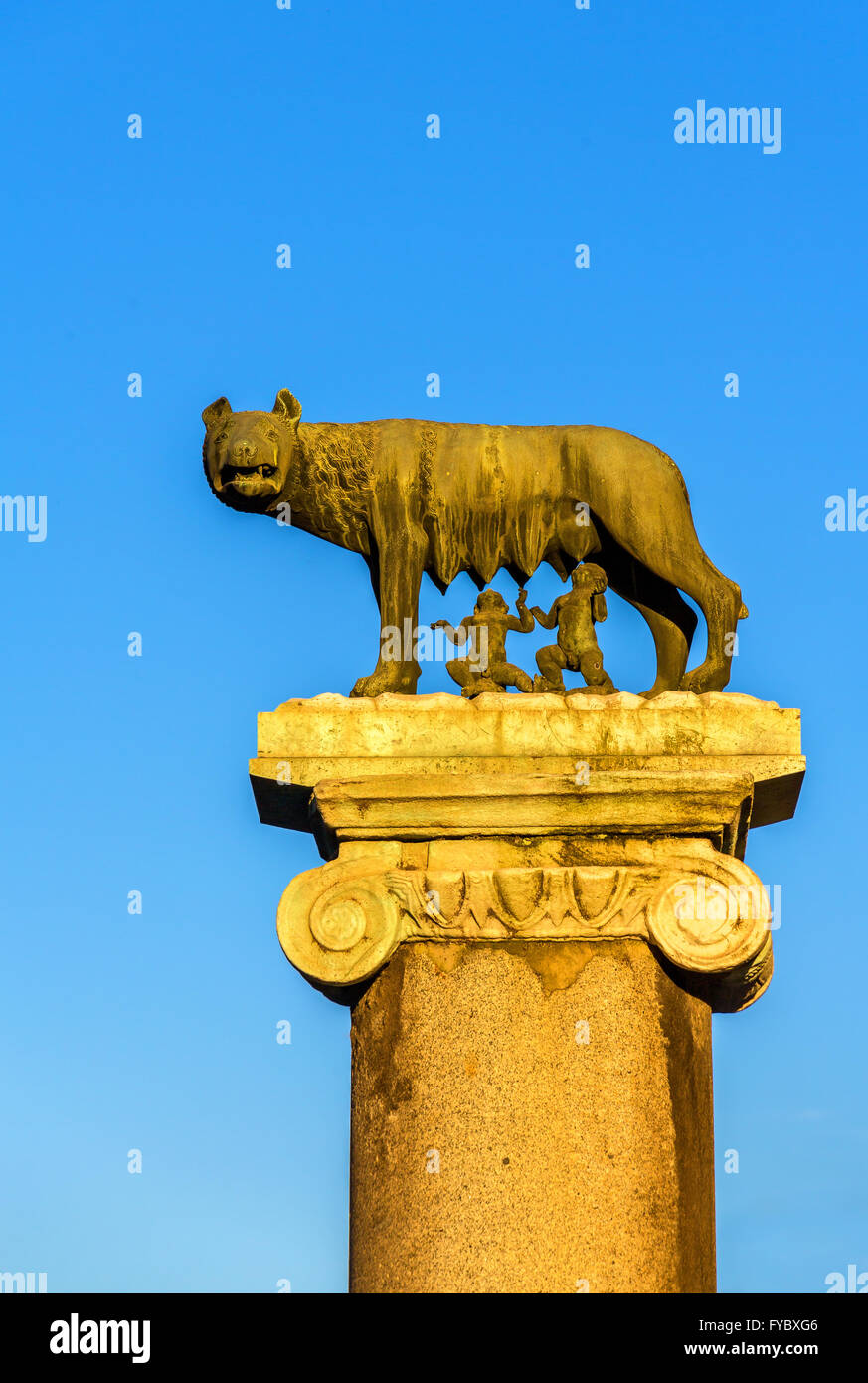 Kapitolinische Wölfin Statue in Rom, Italien Stockfoto