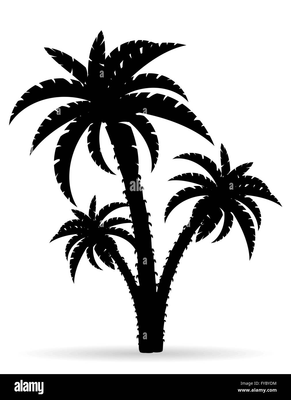 Palm Tree schwarzen Umriss Silhouette Vektor-Illustration isoliert auf weißem Hintergrund Stock Vektor