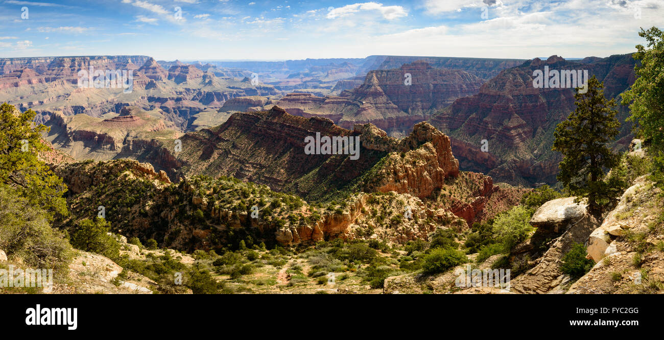 Grand-Canyon-Nationalpark Stockfoto