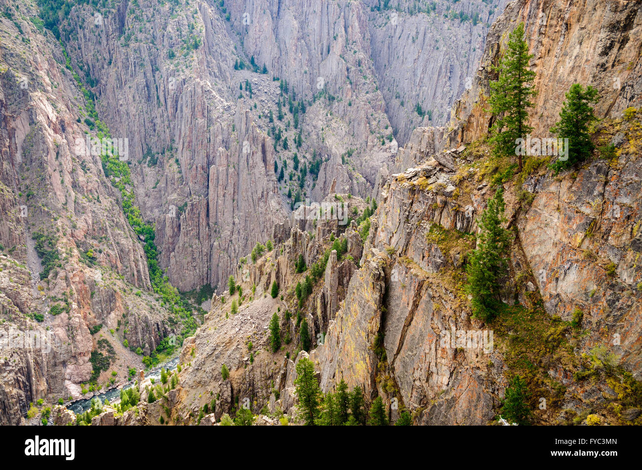 Black Canyon des Gunnison National Park Stockfoto