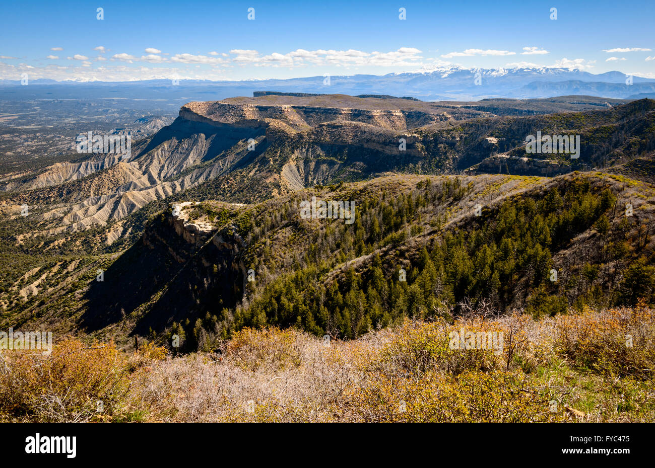 Mesa Verde Nationalpark Stockfoto