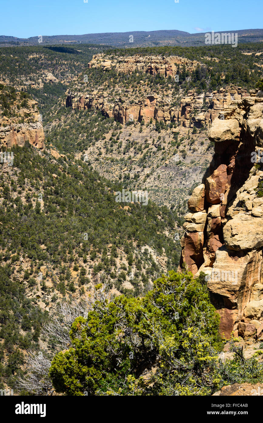 Mesa Verde Nationalpark Stockfoto
