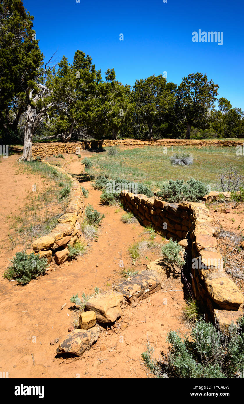 Mesa Verde Nationalpark Stockfoto
