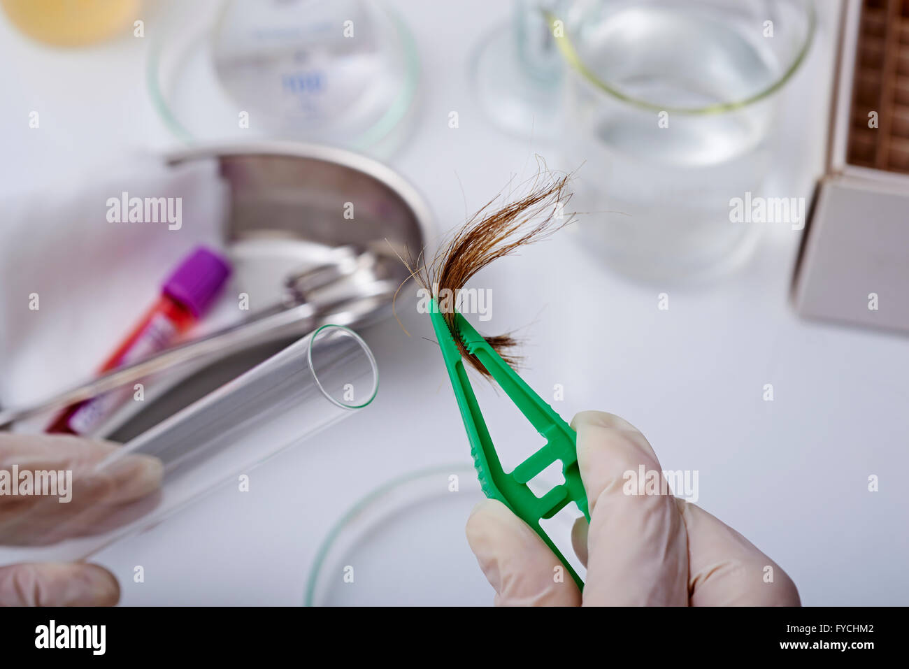 BIOLOGISCHE PROBEN Stockfoto