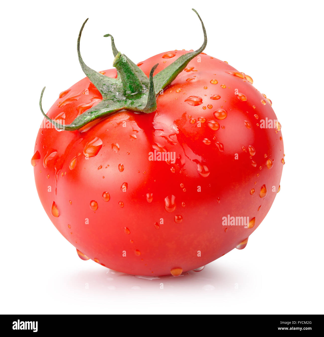 Tomate mit Wassertropfen auf dem weißen Hintergrund isoliert. Stockfoto