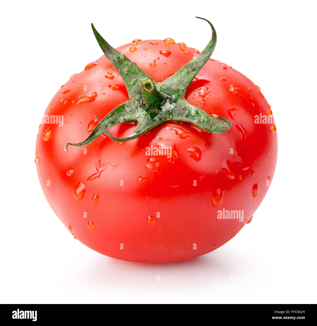 Tomate mit Wassertropfen auf dem weißen Hintergrund isoliert. Stockfoto